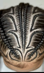 Beautiful Braids By Lana style photo 15